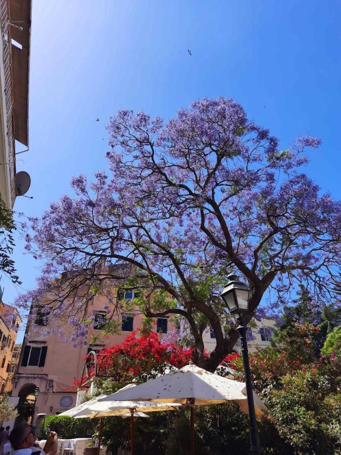 Jacaranda Corfu Old Town Apt 外观 照片